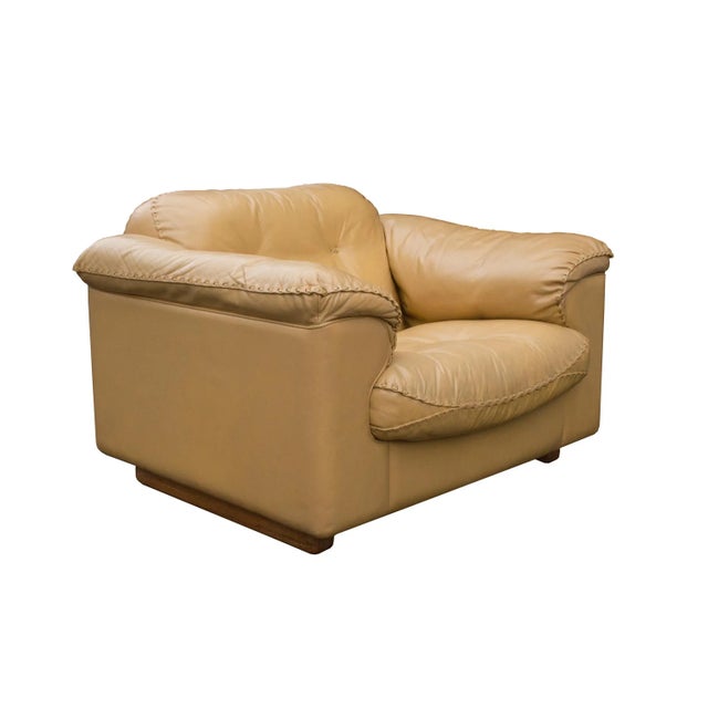 Animal Skin Leather DS 101 Lounge Chair from de Sede, 1960s For Sale - Image 7 of 10