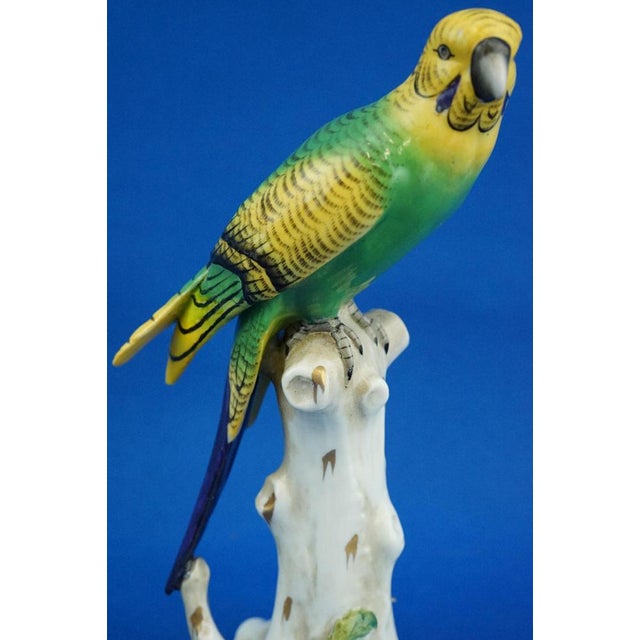 Porcelain Sculpture of Parrot Figurine by Real Casa Ferdinandea or Ginori Doccia, Italy, 1700s-1800s For Sale - Image 14 of 18