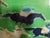 Postmodern André Brasilier, Courses a Longchamp, 1982, Paper Lithograph For Sale - Image 3 of 7