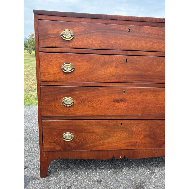 MidEarly 19th C. American Mid-Atlantic Four Drawer Chest in the Federal Federal Style For Sale - Image 13 of 14