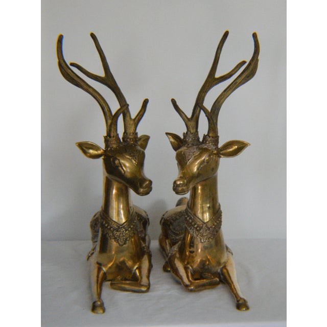 Transitional Large 1970s Brass Sarreid Style Resting Deer Stag - A Pair For Sale - Image 3 of 7