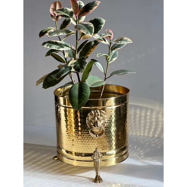 Pair of Large Vintage Brass Lion Head Planters, Attributed to Bristol Brass, Hollywood Regency For Sale - Image 13 of 15