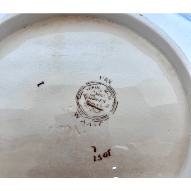1890s English Majolica Shell Shape Asparagus Plate For Sale - Image 12 of 12