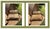 Pair of Louis XV-Style Pheasant & Botanical Upholstered Fauteuil Armchairs For Sale - Image 9 of 18