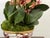 Ceramic Abigail Luxury Botanicals Faux Orchid Arrangement in Vase For Sale - Image 7 of 12