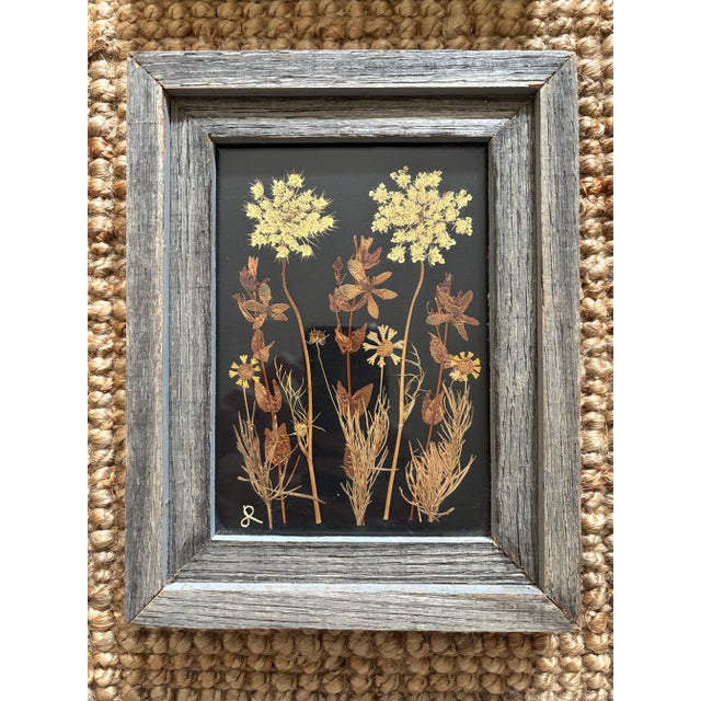 1990s Set of Vintage Botanical Pressed American Wildflower Specimens 4 For Sale - Image 5 of 6