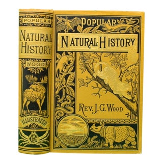 "Popular Natural History" Wood, Rev. J. G. M. A. For Sale