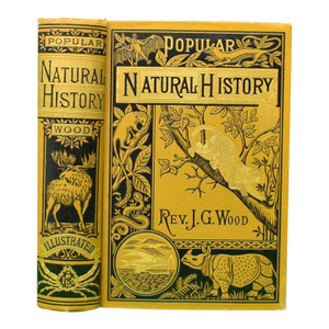 "Popular Natural History" Wood, Rev. J. G. M. A.