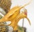 Vintage Chinese Metal Gilt Filigree and Enamel Cranes Figures on Wooden Stand For Sale - Image 9 of 12
