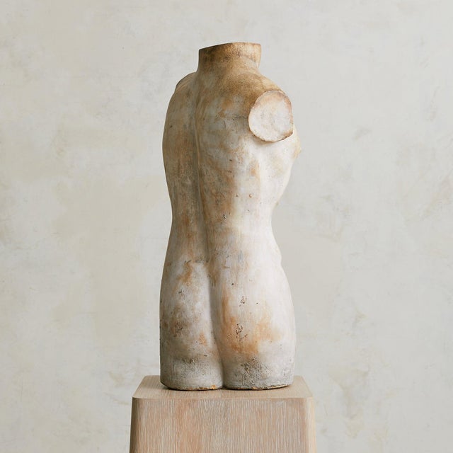 Vintage French Plaster Male Torso Sculpture For Sale - Image 9 of 18