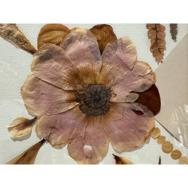 1990s Ellen Schiffman 1995 Preserved Botanical Collage Original Framed For Sale - Image 5 of 9
