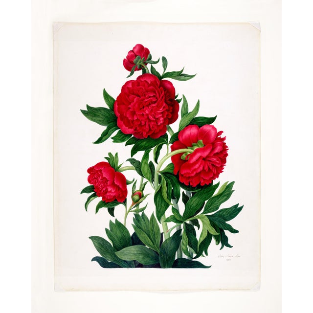 Not Yet Made - Made To Order Reproduction Victorian Botanical Prints - Set of 6 Peonies For Sale - Image 5 of 9
