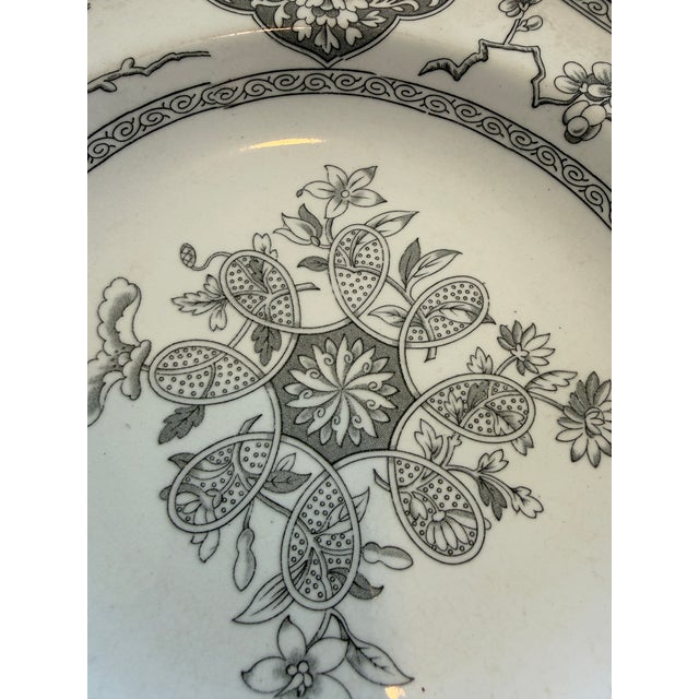 Floral Star patterned, transfer ware china plate for serving or display.