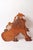 Victorian Oak Lion Library Ladder, 1900 For Sale - Image 15 of 18