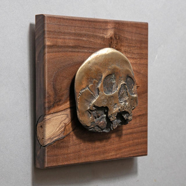 Contemporary Flat Skull by Dana Younger | Bronze and Walnut sculpture of a flat skull design For Sale - Image 3 of 4