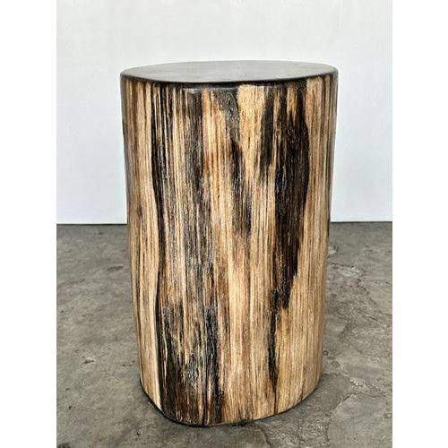 Petrified Wood Side Table with Black Heart For Sale - Image 18 of 18