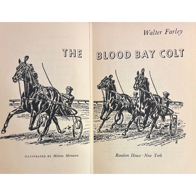 1950s Set of Four Rare First Edition Books From the Black Stallion Series by Walter Farley For Sale In Palm Springs - Image 6 of 15