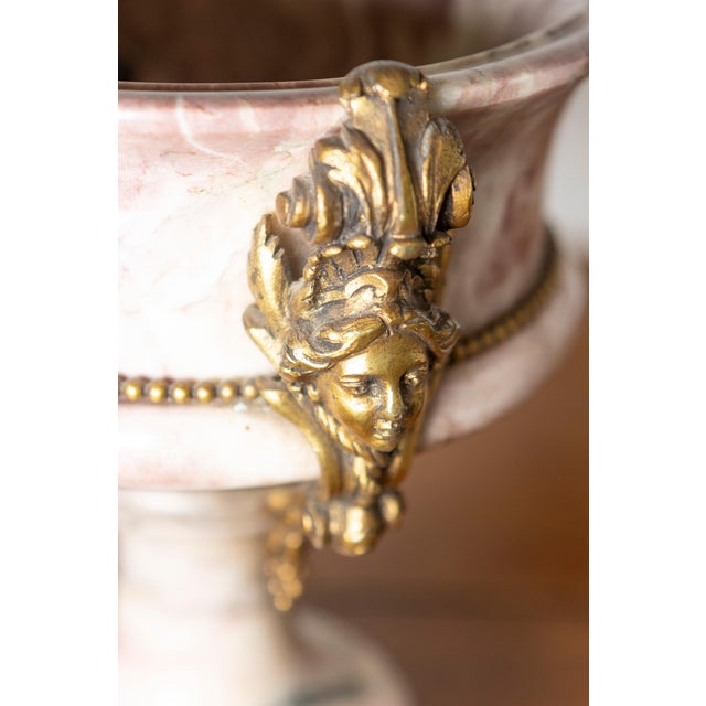 Metal Pair of 19th-Century French Neoclassical Marble and Gilt Bronze Urns For Sale - Image 7 of 12