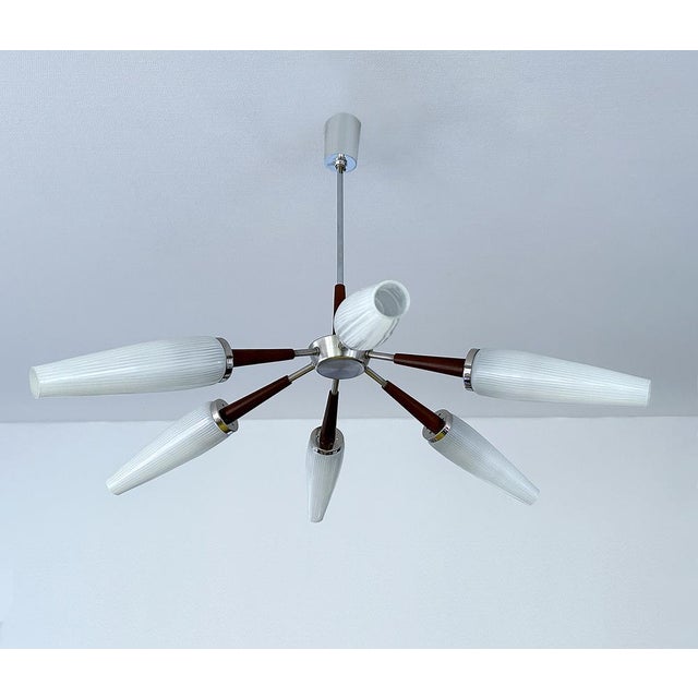 Mid-Century Modern Large Vintage Sputnik Chandelier, 1960s For Sale - Image 3 of 18