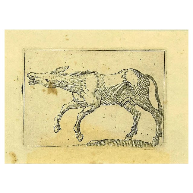 Antonio Tempesta, The Donkey, Etching, 1610s For Sale