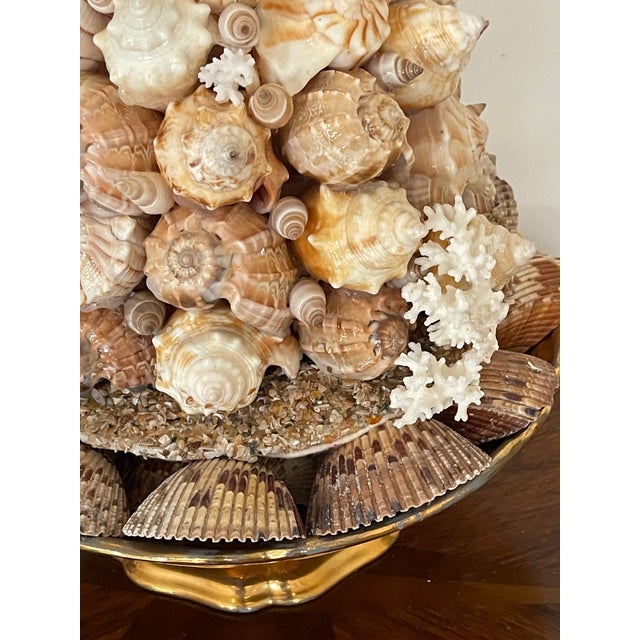 Shell Gorgeous Sea Shell Topiary Assemblage For Sale - Image 7 of 8