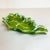 1970s Mid-Century Majolica Folk Art Americana Boho Chic Holly Leaf Dish - Christmas. For Sale - Image 10 of 11