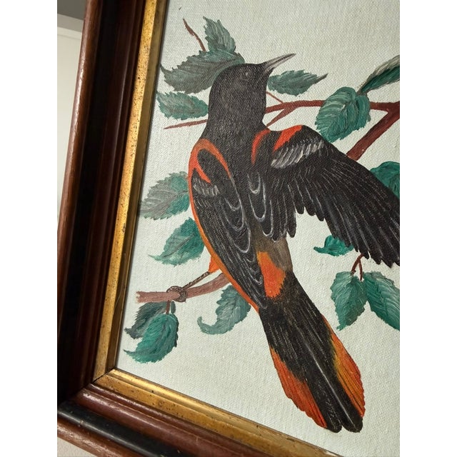 Mid 20th Century Audubon-Style Baltimore Oriole Painting For Sale - Image 4 of 4