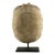 Oligocene Turtle Fossil, South Dakota For Sale