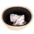 2020s Artifacts Rattan Oval Waste Basket with Metal Liner in White Wash - 11" For Sale - Image 5 of 7