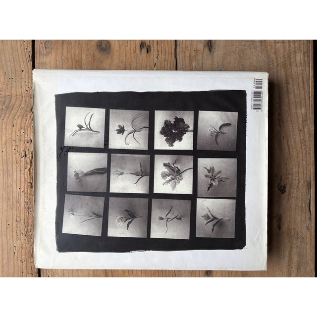 Tulipa: A Photographer’s Botanical by Christopher Baker – Luxury Floral Photography Coffee Table Book For Sale - Image 9 of 12