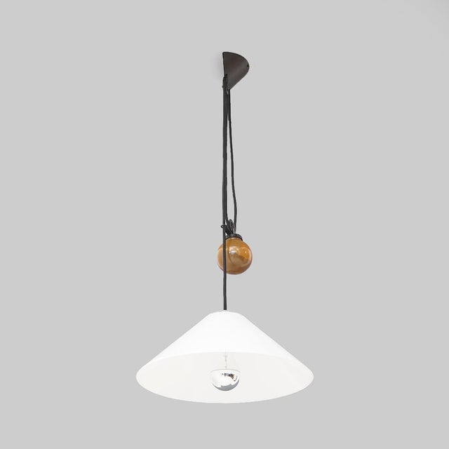 Mid-Century Modern Aggregato Up and Down Chandelier by Enzo Mari for Artemide, 1970s For Sale - Image 3 of 16