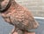 2000 - 2009 English Owl Garden Ornament in Aged Terracotta For Sale - Image 5 of 18