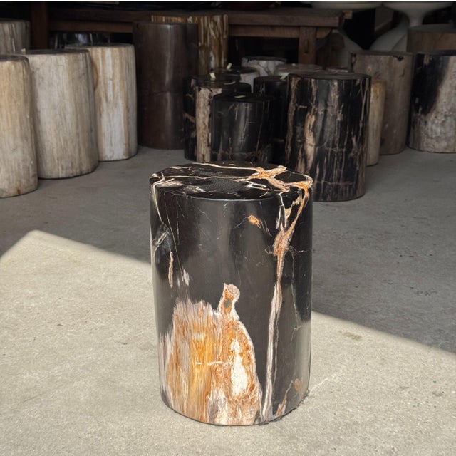 Stone Side Table in Black Petrified Wood with Beige Star Pattern For Sale - Image 7 of 18