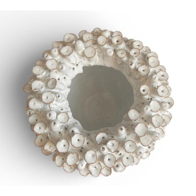 2020s Organic Coral-Inspired White Glazed Ceramic Vessel For Sale - Image 5 of 6