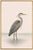 Paper Great Blue Heron Coastal Study, Neutral Bird Wall Art Print, 20" X 30" For Sale - Image 7 of 11