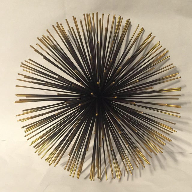 10" Sea Urchins Wall Decor Set of 3 Chairish