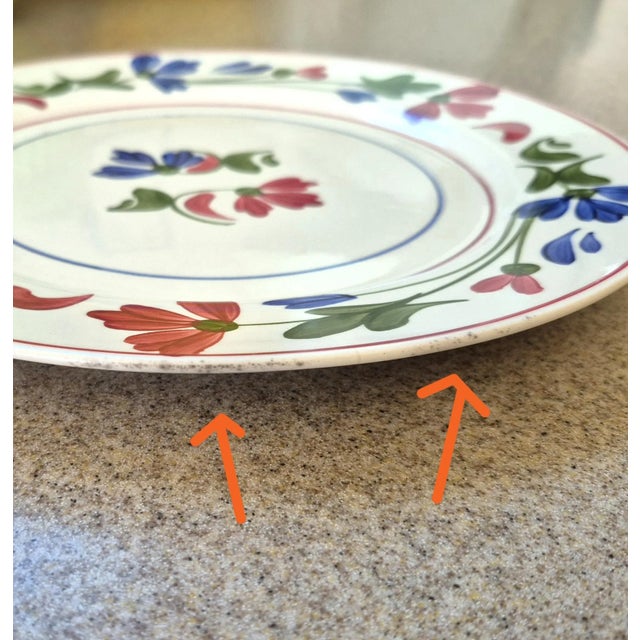 1940s Hand Painted Vintage Blue Ridge Plate: "Tumbling Petals" From Southern Potteries Usa For Sale - Image 11 of 14