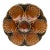 Majolica Oyster Plate Sarreguemines Circa 1950 For Sale