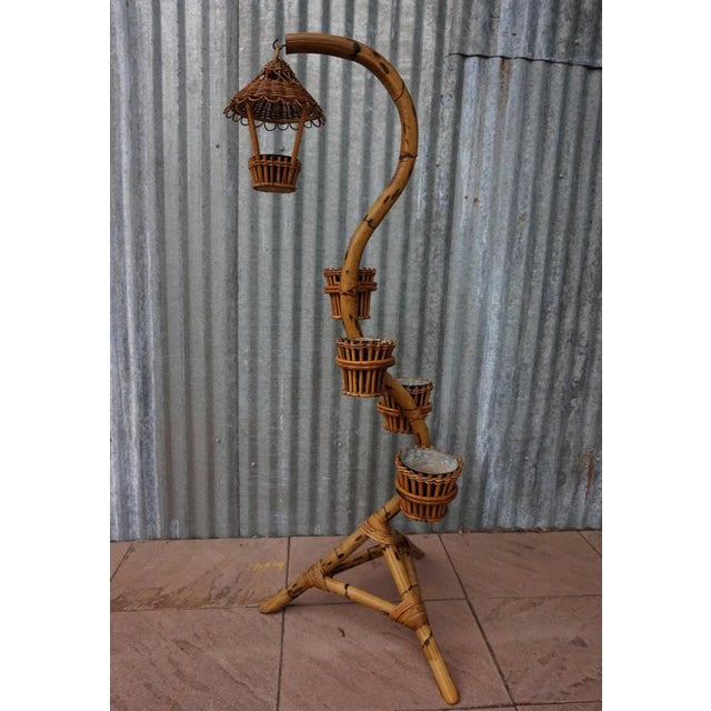 Bamboo Plant Stand from Rohe Noordwolde, 1960s For Sale - Image 12 of 12