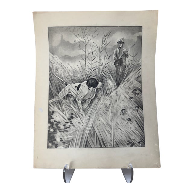 1940s Original Signed Graphite Illustration of Bird Dog, Hunter and Quail in Tall Grass, 13.25 × 10.5 In. For Sale