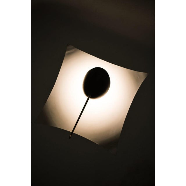 Ceiling Lamp in Lacquered Metal, Nylon Threads and Brass attributed to Angelo Lelii, 1950s For Sale - Image 9 of 10