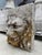 Authentic 19th Century French Carved Stone Lion Fountain Element For Sale - Image 13 of 17