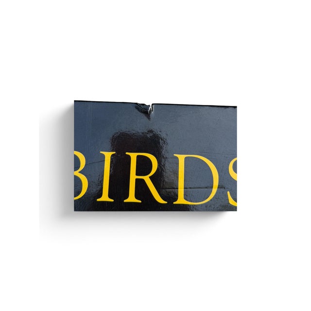 Birds of Prey by Paul D. Frost, 2007 Oversized Hardcover Coffee Table Book For Sale In Miami - Image 6 of 6