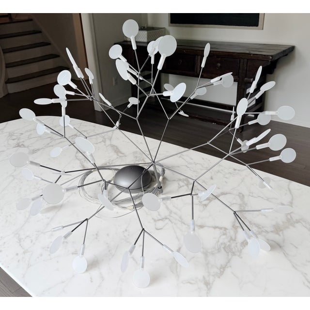 The Heracleum chandelier by Moooi is a sculptural lighting design by Bertjan Pot in collaboration with Marcel Wanders...
