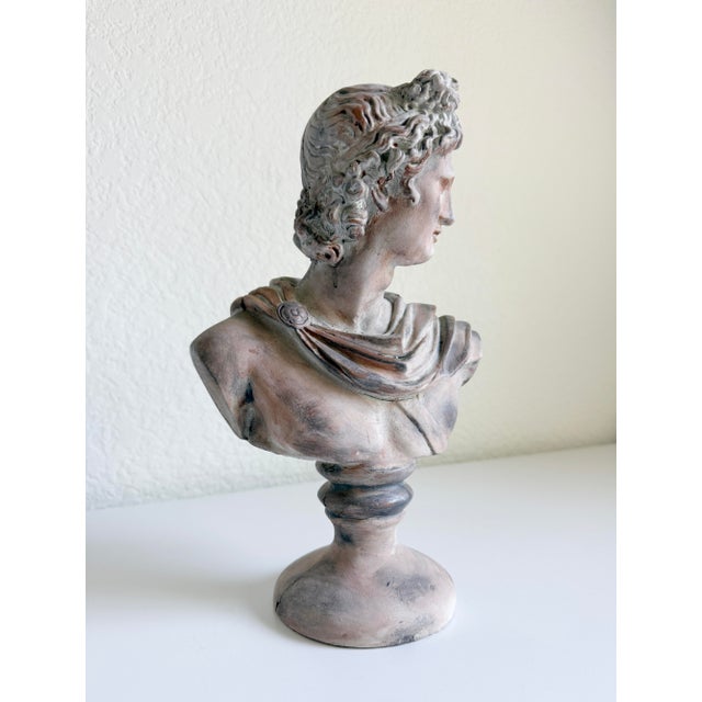A stately bust of the Apollo Belvedere, a celebrated Greek and Roman god of light, music, and truth. This sculpture...