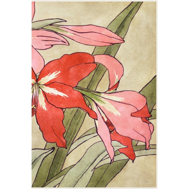 Paper 1915 Vintage Amaryllis Botanical Art Print by Hannah Borger Overbeck - 30" X 20" For Sale - Image 7 of 8
