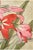 Paper 1915 Vintage Amaryllis Botanical Art Print by Hannah Borger Overbeck - 30" X 20" For Sale - Image 7 of 8