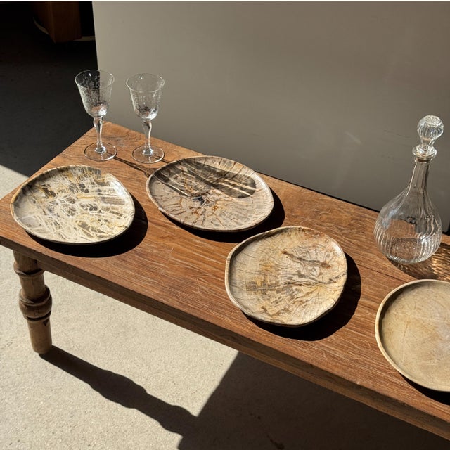 Small Trinket Tray or Dish in White Petrified Wood with Brown Checkered Pattern For Sale - Image 5 of 18