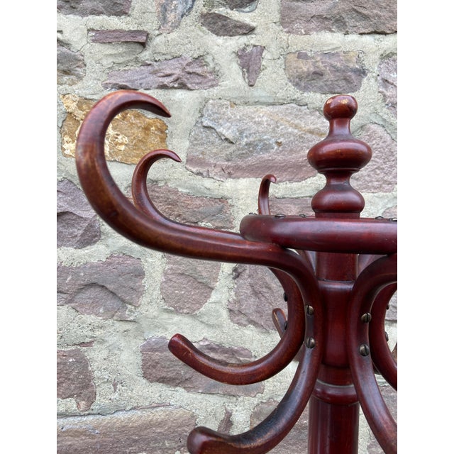 Parrot Coat Rack in Bentwood from Fischel, 1925 For Sale - Image 6 of 9