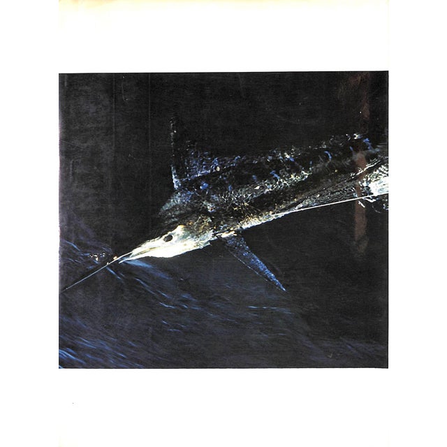 "Big Fish and Blue Water: Gamefishing in the Pacific" 1970 Goadby, Peter For Sale - Image 4 of 9